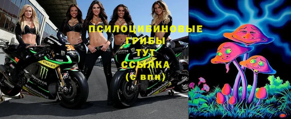 спиды Гусиноозёрск