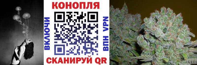 Купить  Никольск  Канабис сатива 